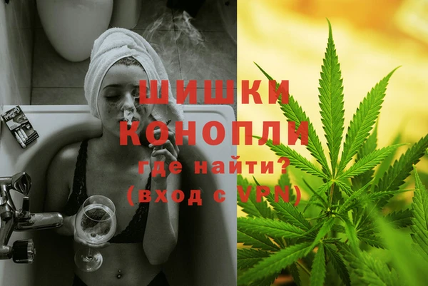 дурь Каменка