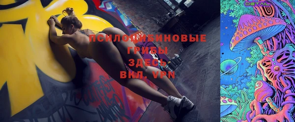 мдпв Зеленодольск