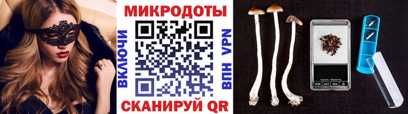 Купить  Кандалакша  Псилоцибиновые грибы MAGIC MUSHROOMS 